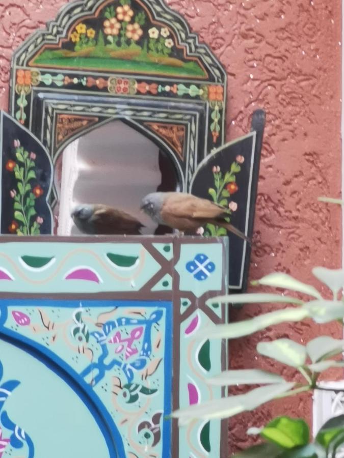 Dar Al Hayat Villa Marrakesh Ngoại thất bức ảnh